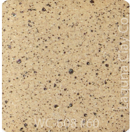 WC-608 Speckled Tan cone 6 mid range clay - 25 lbs bag